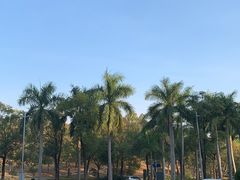 -中国移动南方基地