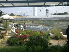 -Ohkajhu Organic Farm Sansai