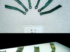 -烟台市博物馆