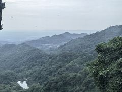 -青城山
