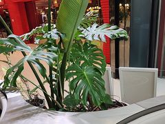 -枕水江南(铁西万象汇店)
