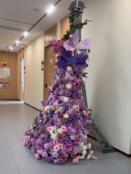 -上海伊莱美医疗美容医院