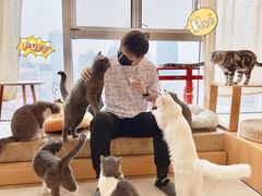 -Catmate·猫肥家润(金润铂宫店)