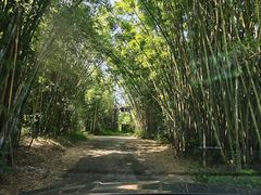 -海南热带野生动植物园