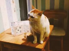 -猫的天空之城概念书店(苏州平江店)