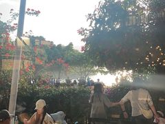 -大理老字号·舟渔的鱼野生菌海景餐厅(双廊店)