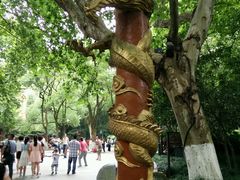 android_upload_pic-杭州黄龙洞