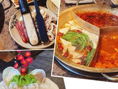 -Xiao Long Kan Hotpot Sydney 小龙坎老火锅