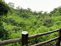 -海口火山口国家地质公园