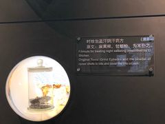 -李时珍纪念馆
