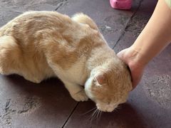 -储奇门鳝鱼火锅(总店)