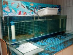 -犇鼎牛潮汕牛肉火锅(新辰里学清路店)