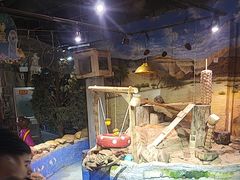 -正佳雨林生态植物园