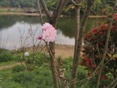 -广州市石门国家森林公园