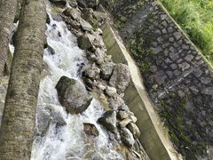 -牛背梁国家森林公园