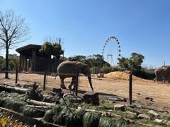 -上海野生动物园