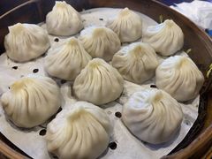 鲜肉小笼-大龙汤包
