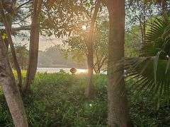-东莞植物园
