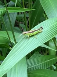 -WAVE SODA摄影工作室