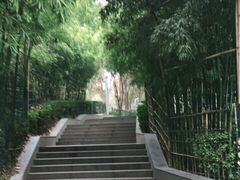 -西安市长乐公园