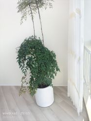 -HEYAN荷妍专业脱毛连锁机构