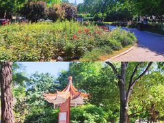 -睦南公园