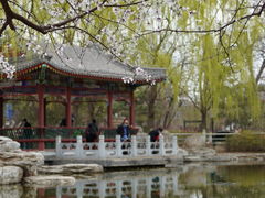 -康庄公园