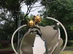-陈家山荷花公园