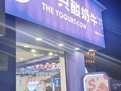 -一只酸奶牛(洪崖洞11楼店)