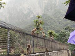 -云台山风景名胜区