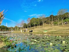 -东莞植物园