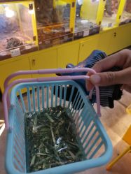 点击看大图 -神奇动物撸宠馆·羊驼·小浣熊·异宠(豫园店)