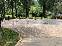 -昆明动物园