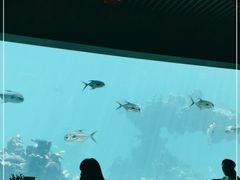 大堂-海棠湾洲际-涛·海底餐厅·美人鱼·自助餐·海底隧道