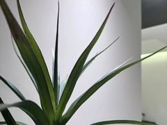 -静宜和她的朋友(星海广场店)