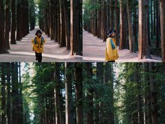 -日照海滨国家森林公园