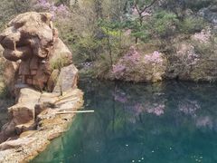 -崂山九水游览区