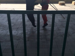 iphone_upload_pic-东方熊牧场