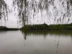 -香山公园