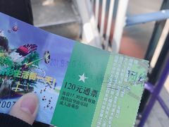 门票-富华游乐园