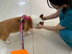 -美联众合动物医院·24h京西诊疗中心