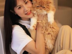 -More Fun猫咖 二十只万元加菲主题