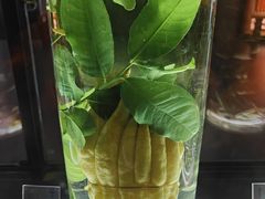 -广东中医药博物馆