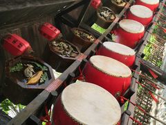 -合肥滨湖国家森林公园