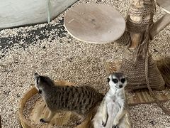 -海合安武汉极地海洋公园