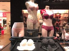 -Victoria's Secret(苏州中心全品类店)
