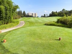 -阳光高尔夫俱乐部