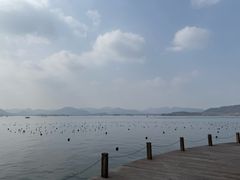 -杭州湖滨in77