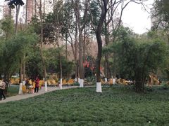 -绵阳人民公园(涪城区)