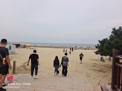 -日照海滨国家森林公园